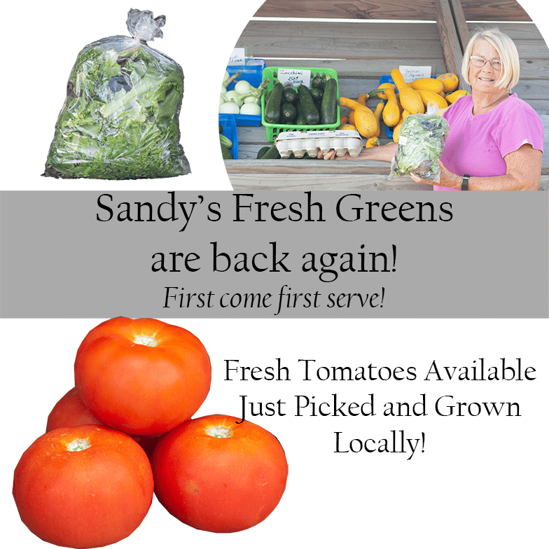 Fresh Local Greens from Sandy and Just Picked Fresh & Local Tomatoes 17