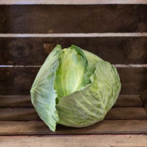 Cabbage 18